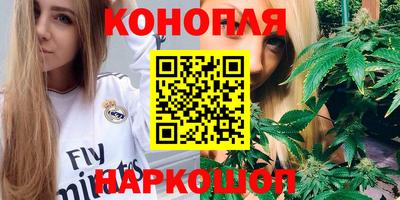 прущие грибы Будённовск