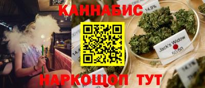 прущие грибы Будённовск