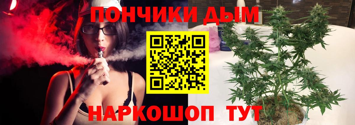 Каннабис конопля Обнинск